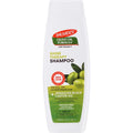 Sampon, Palmer's, Shine Therapy, Olive Oil Formula, Hraneste Parul Tern si Scalpul Uscat, fara Parabeni, 400ml
